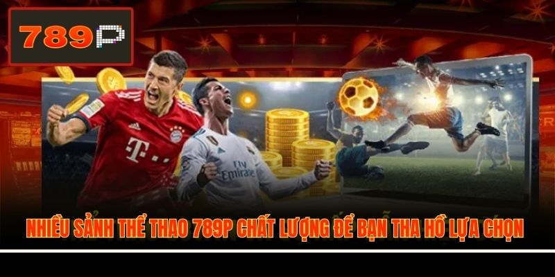 Nhiều sảnh thể thao 789P chất lượng để bạn tha hồ lựa chọn