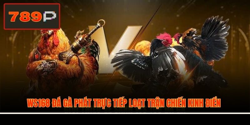 WS168 đá gà phát trực tiếp loạt trận chiến kinh điển
